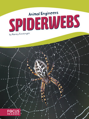 cover image of Spiderwebs